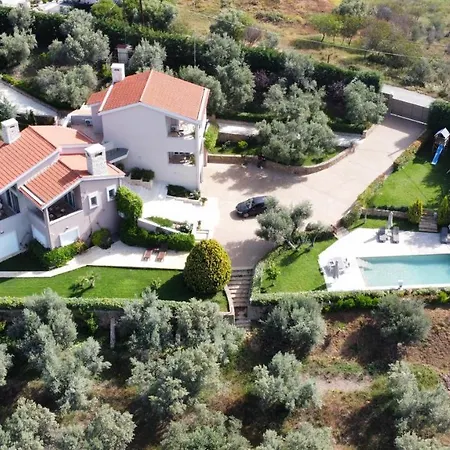 Konstantina * 纳夫普利翁